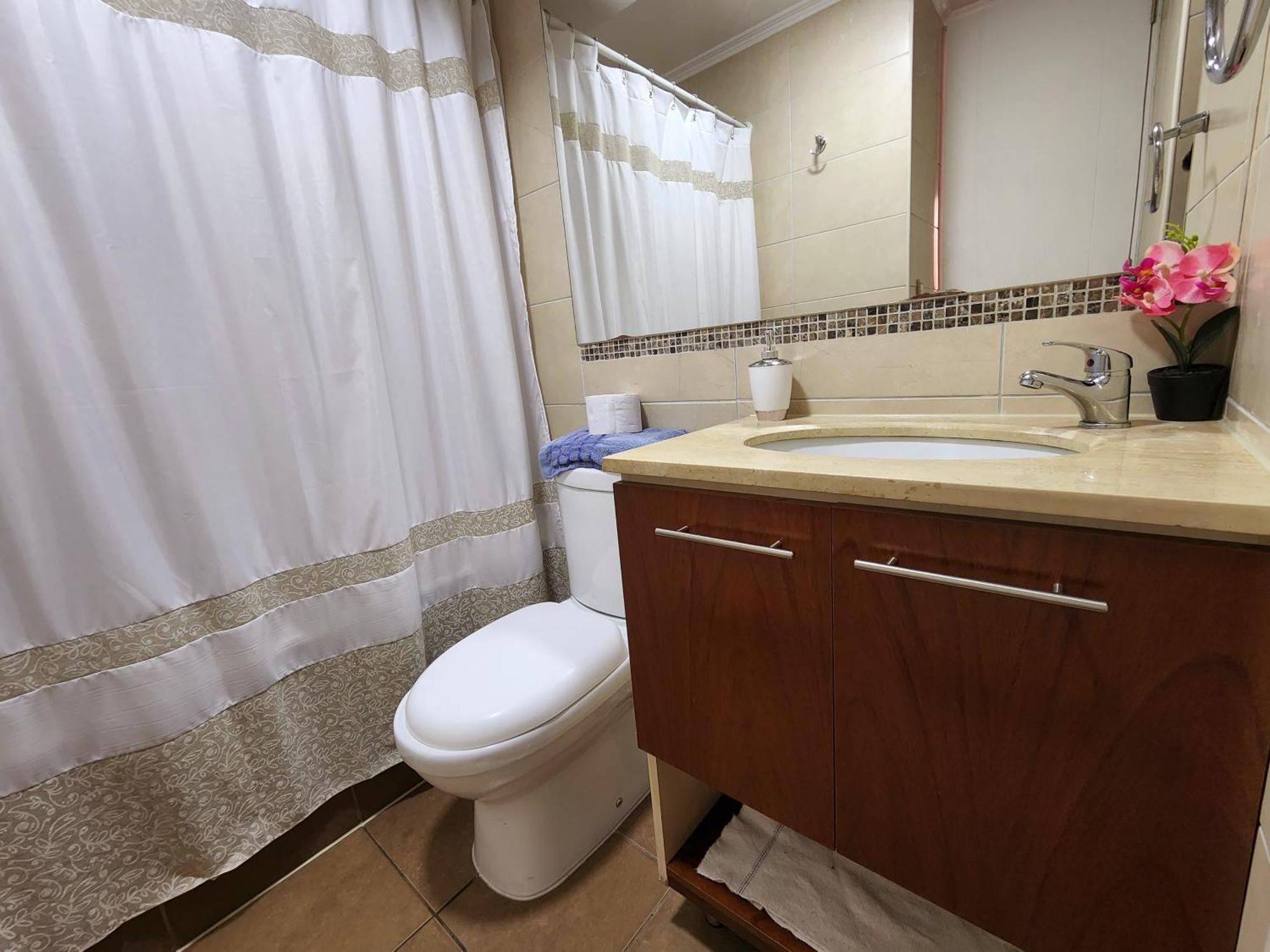 Apartamento Departamentos Suagon Centro Moneda